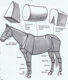 1_1516839698562_drawn-horse-horse-anatomy-3.jpg