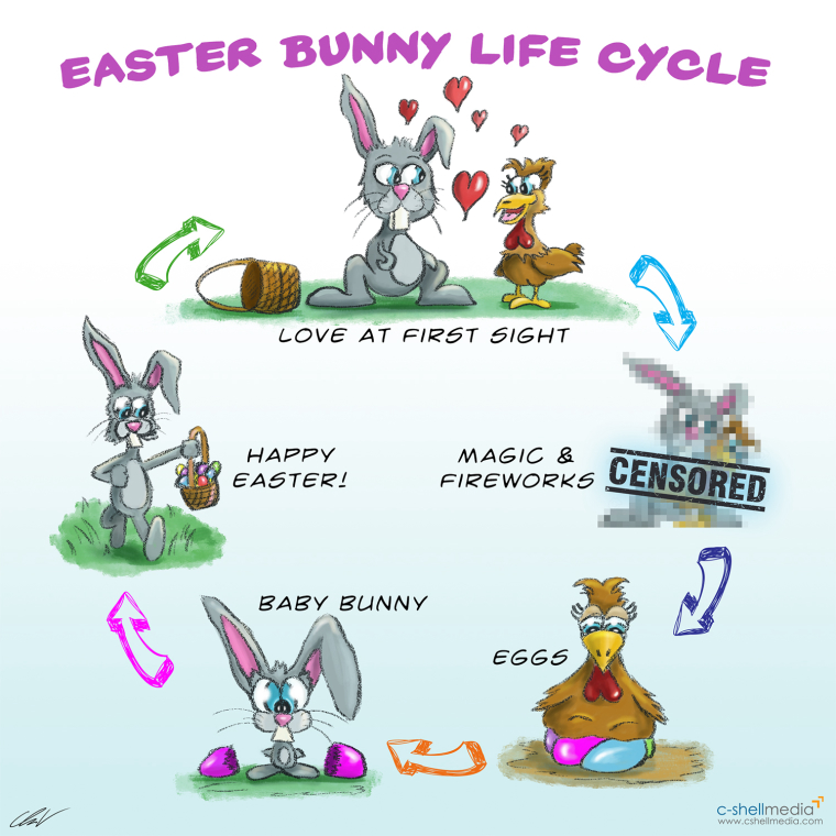 0_1522667409065_easte_bunny_lifecycle.jpg