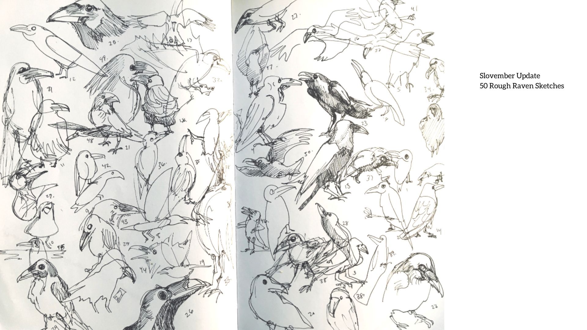 Slovember Update 50 Rough Raven Sketches (3).jpg