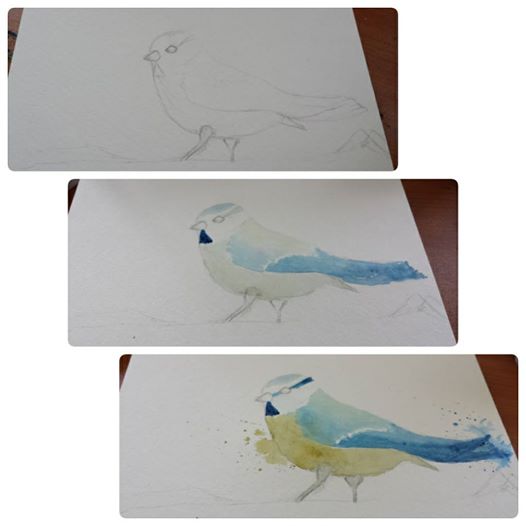 Watercolorbirdprocess1.jpg