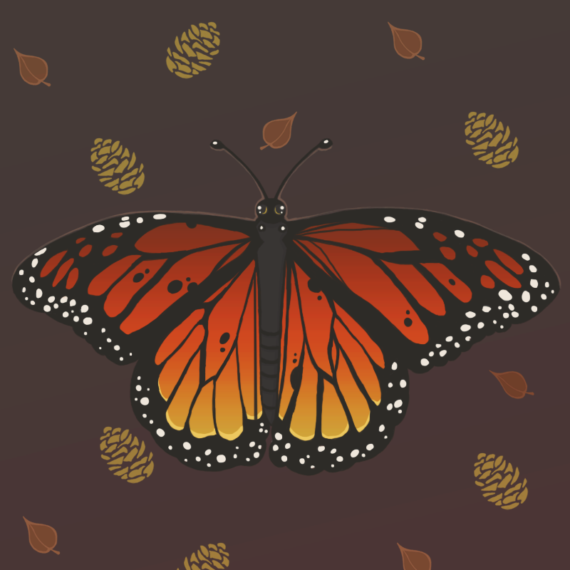 0_1468533569545_butterfly.png