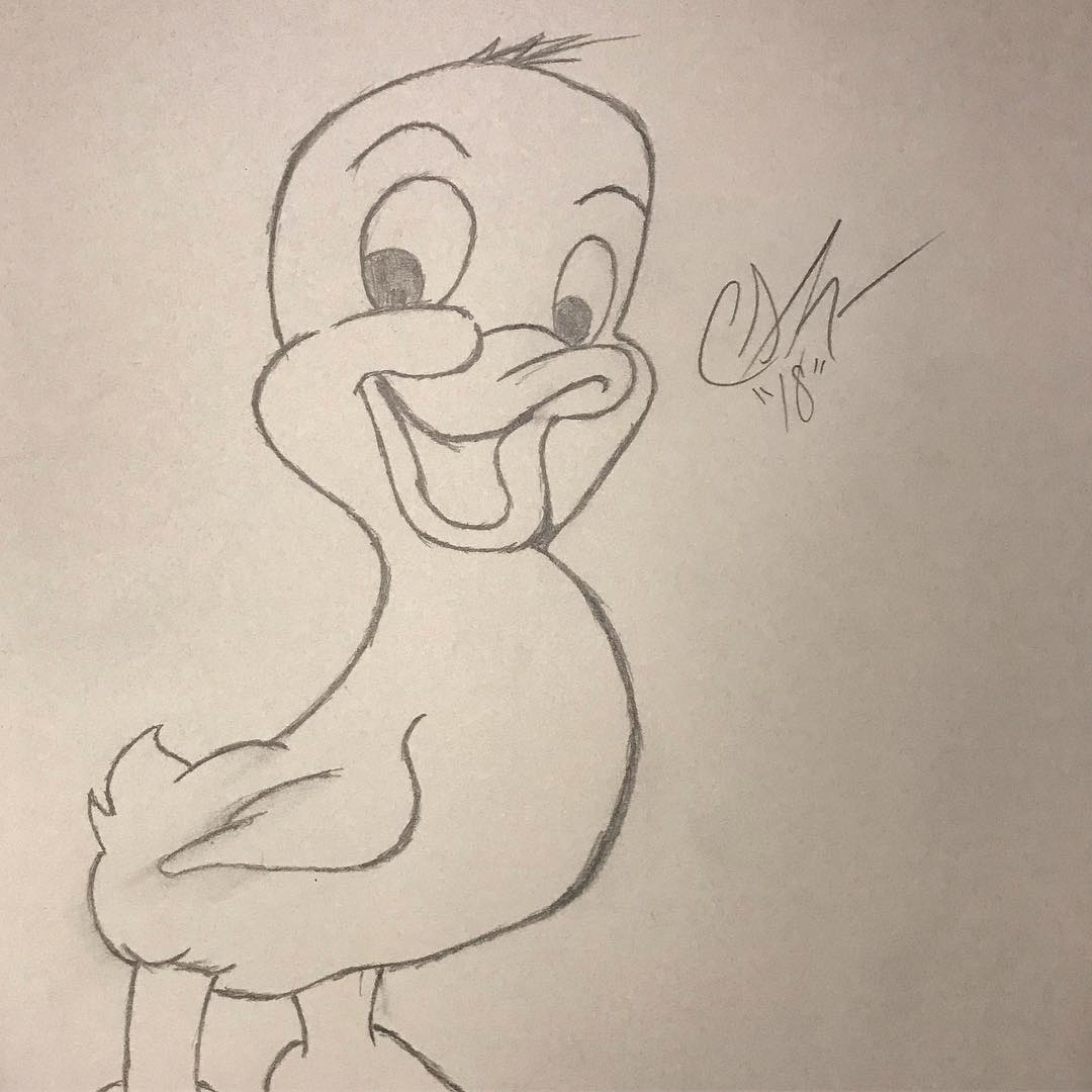 Duck Sketch.jpg