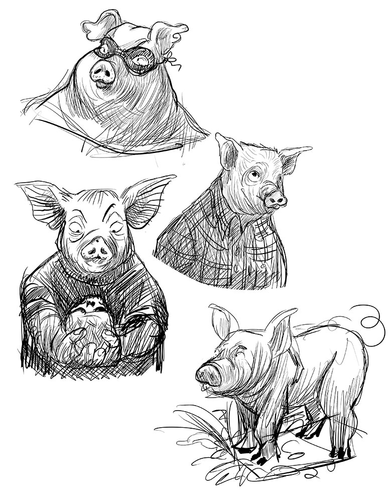 Pig-sketches.jpg
