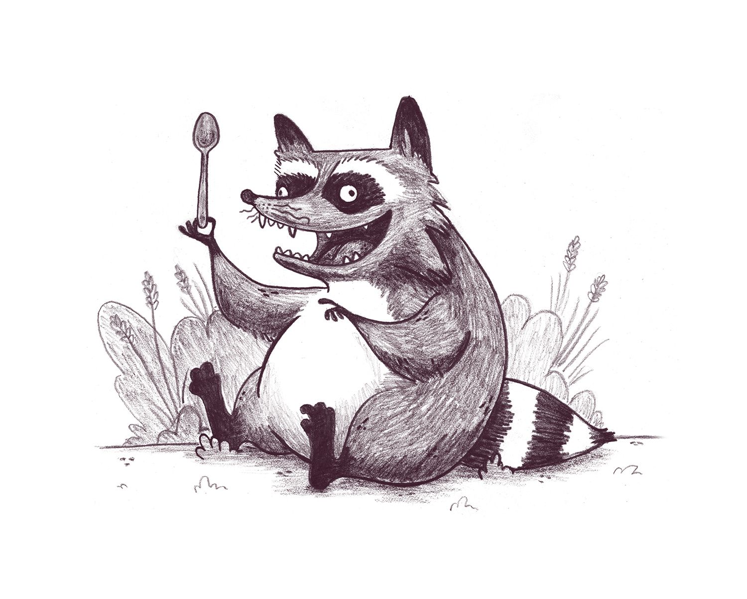 raccoon2.jpg