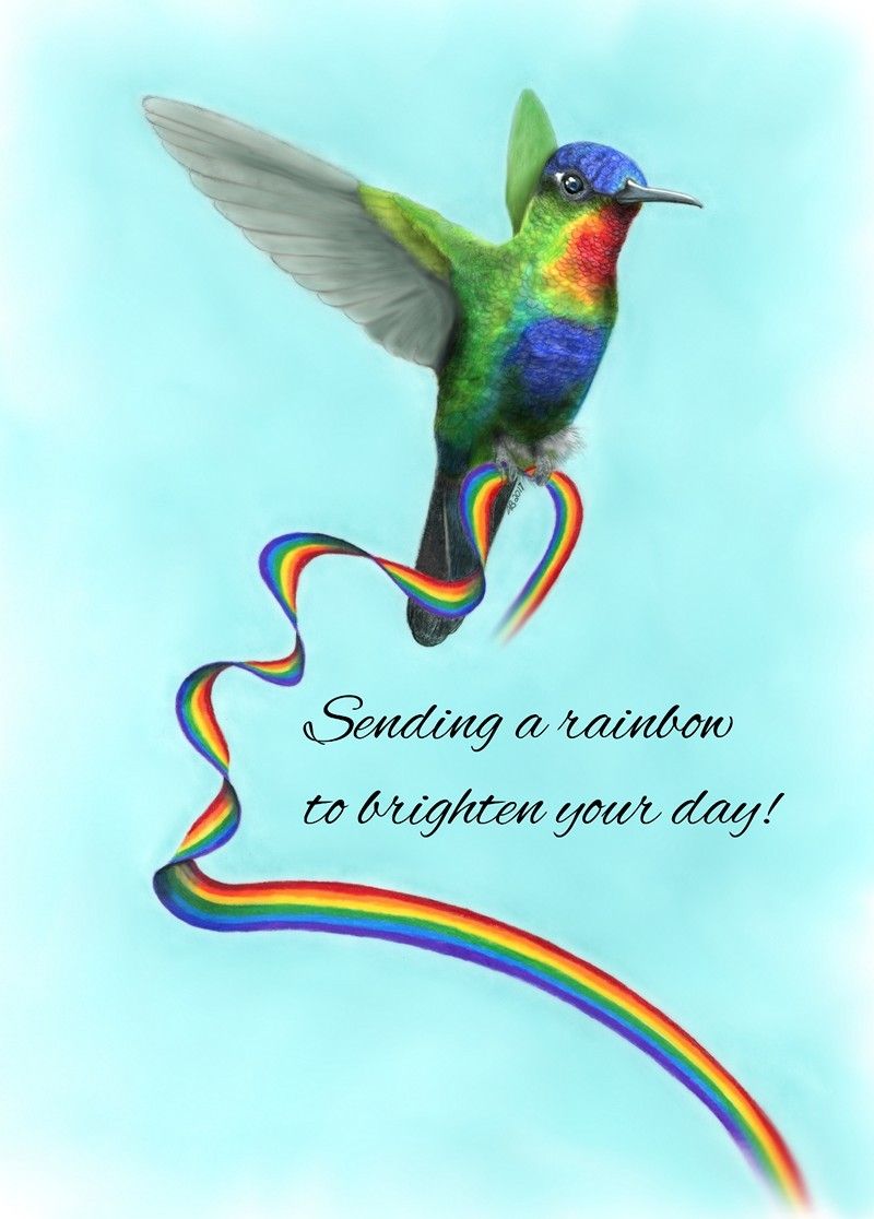 Rainbow Hummingbird, Amanda Bancroft.jpg