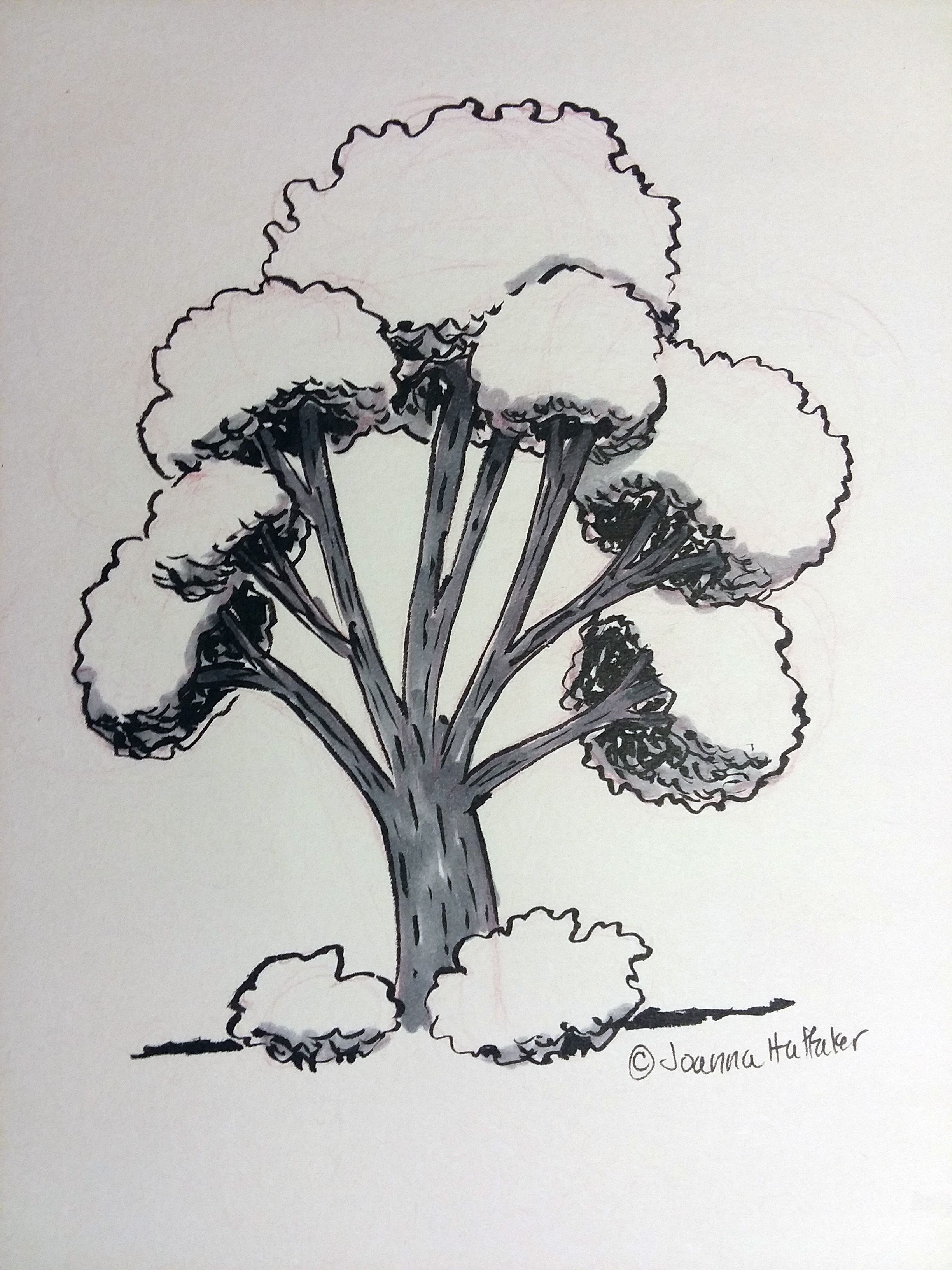 Exercise from How to Draw Everything: The First Tree Isn't the Last ...