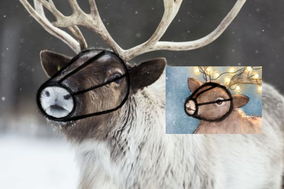 reindeerhead.jpg