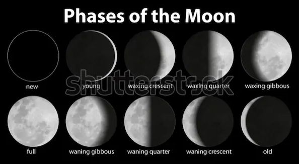 Phases of the moon.jpg