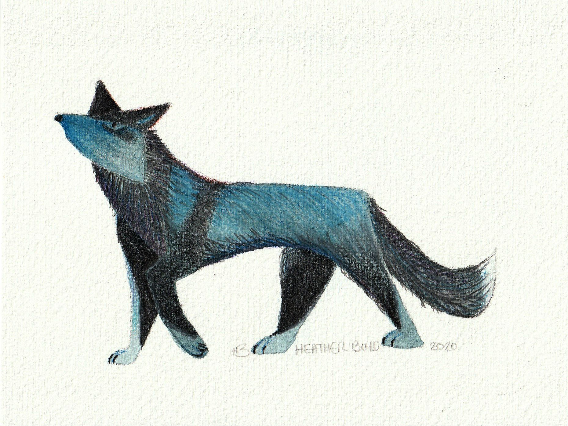 blue fox 03 eidtted and 10mb_bak.jpg