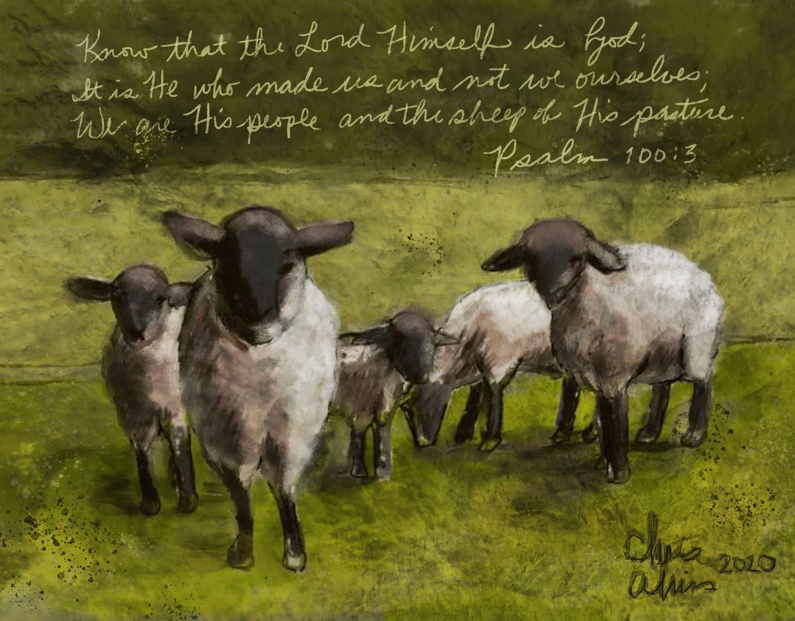 Sheep of His Pasture smaller.jpg