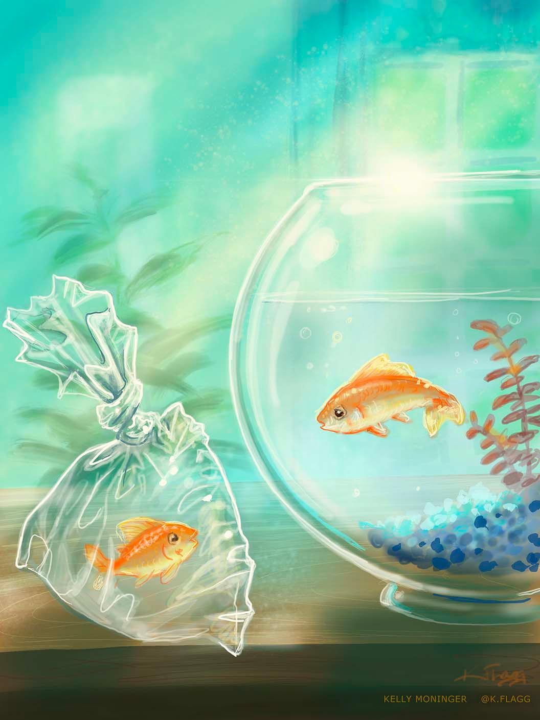 Isolated Goldfish.jpg