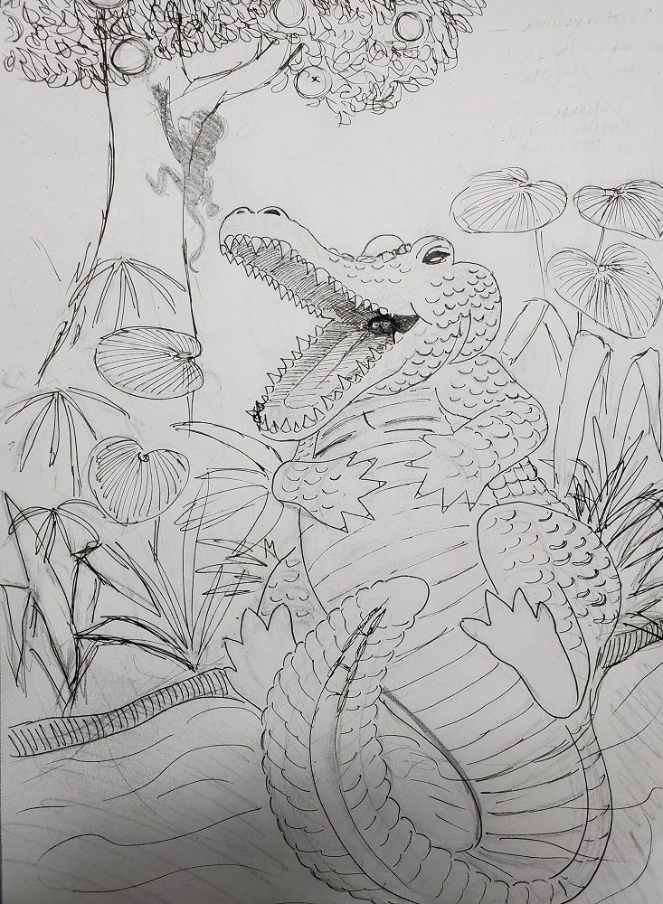 alligator basic sketch.jpg