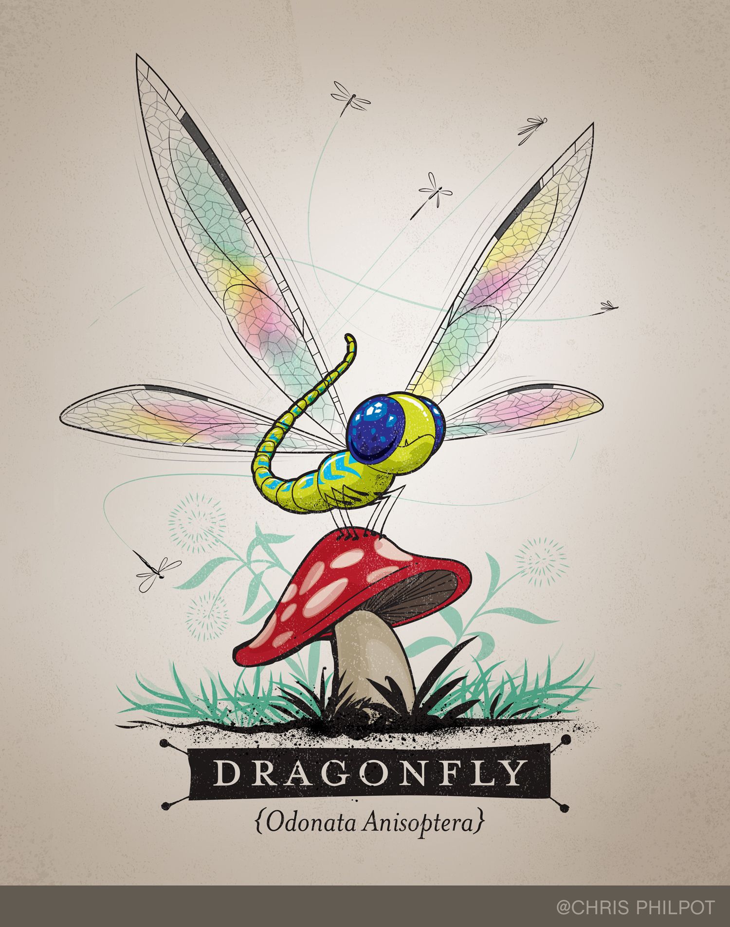 Dragonfly_ChrisPhilpot_Final3.jpg