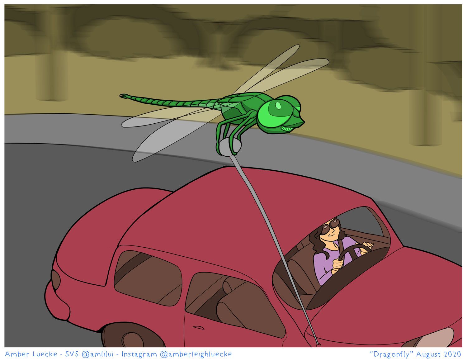 dragonfly-cartopper.jpg