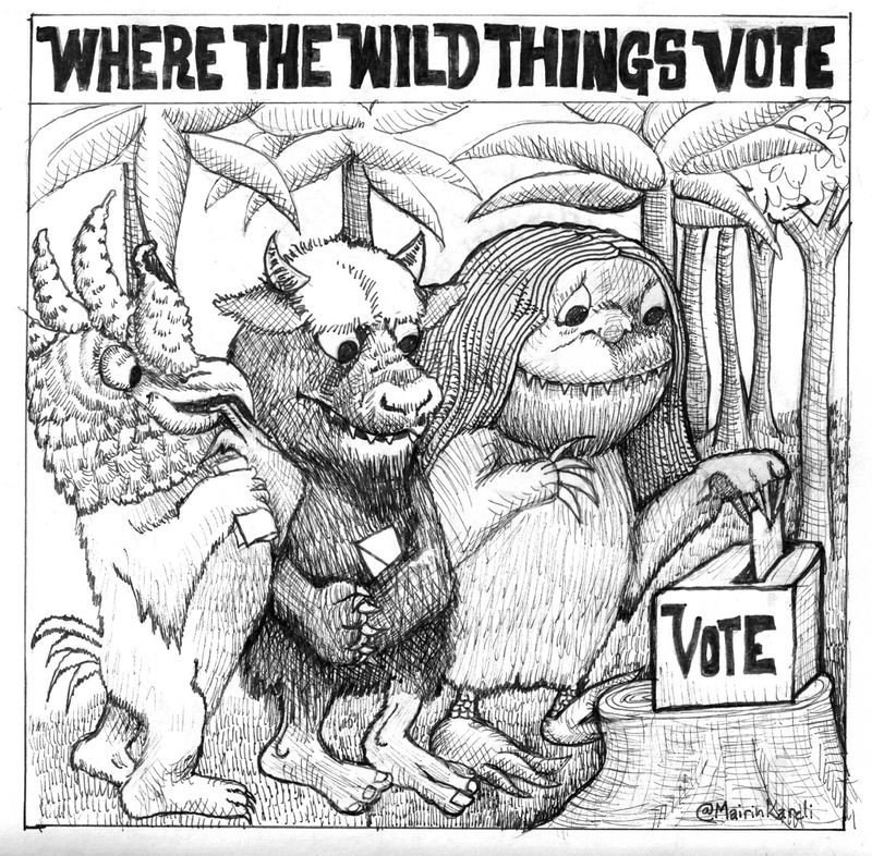 votetober - wildfin.jpg