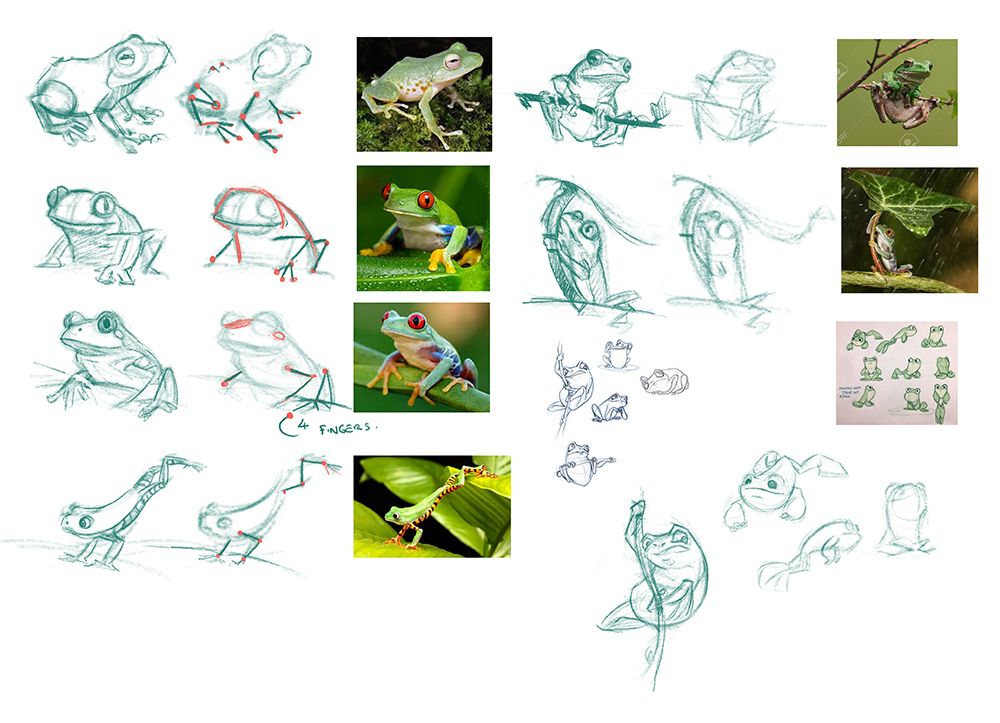 Frog Reerence Studiesms.jpg