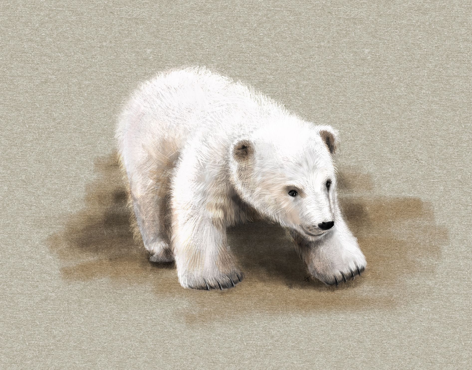 Polar bear cubsvs.jpg