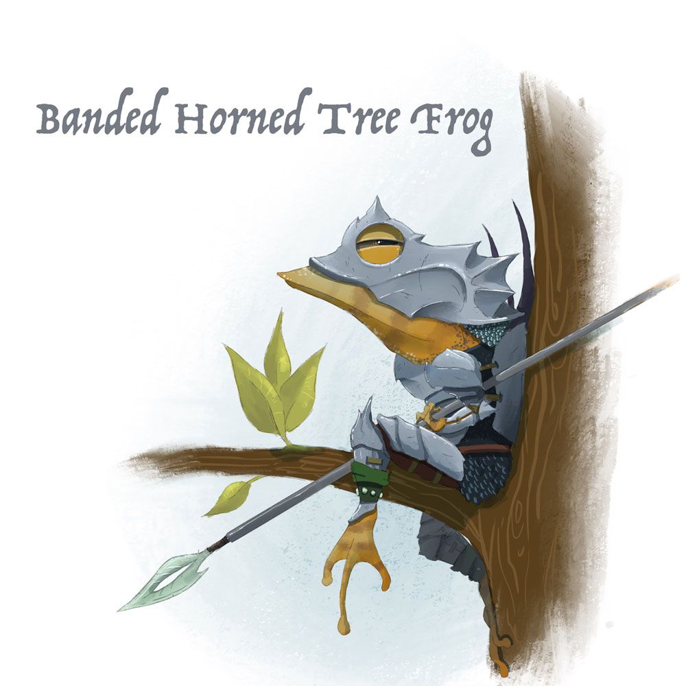 Banded_Horned_Tree_Frog.jpg
