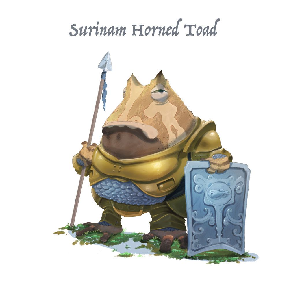 surinam-horned-toad.jpg