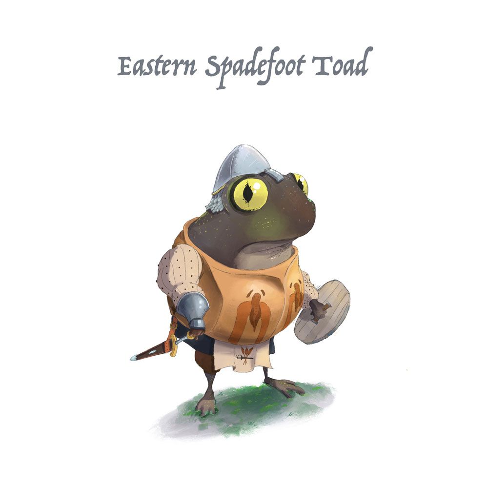 eastern-spadefoot-toad.jpg
