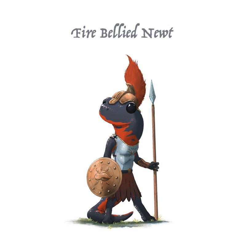 fire-bellied-newt.jpg