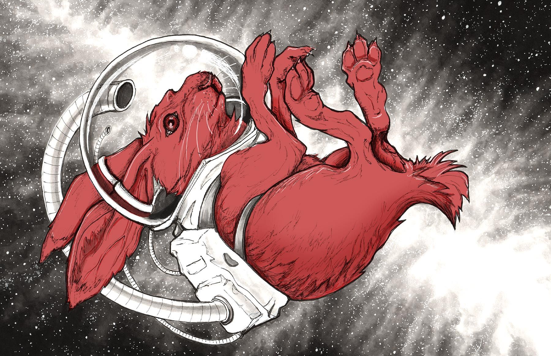 Red Rabbit in Space.jpg