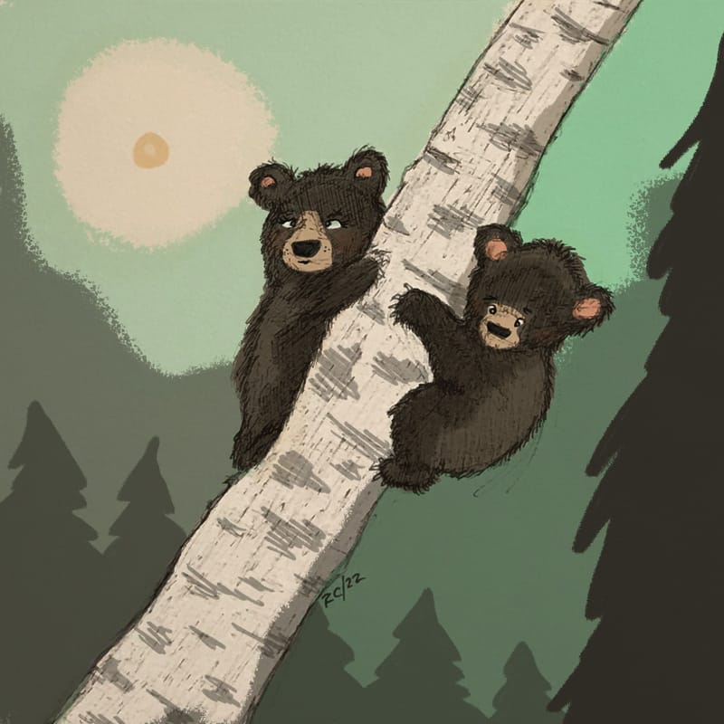 bearcubs.jpg