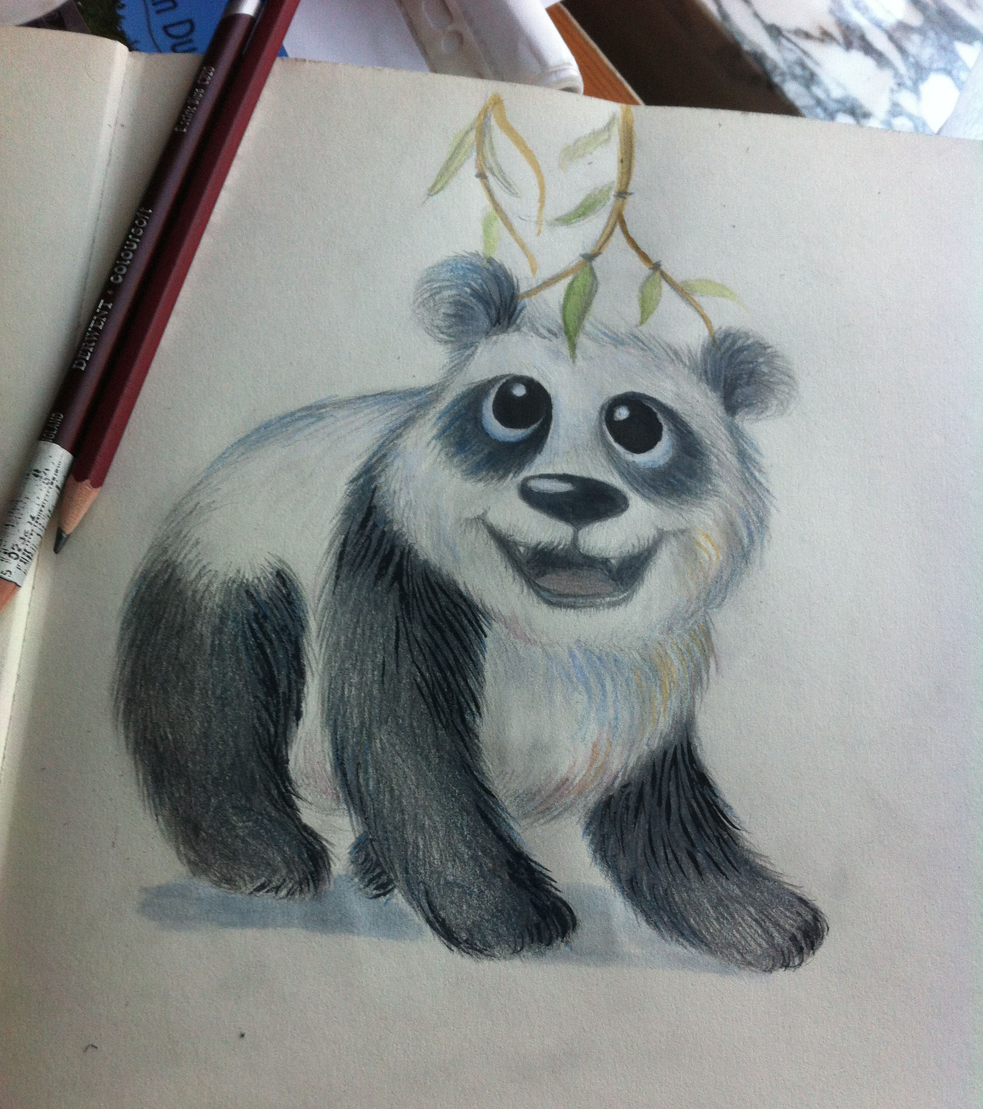 panda bear.jpg
