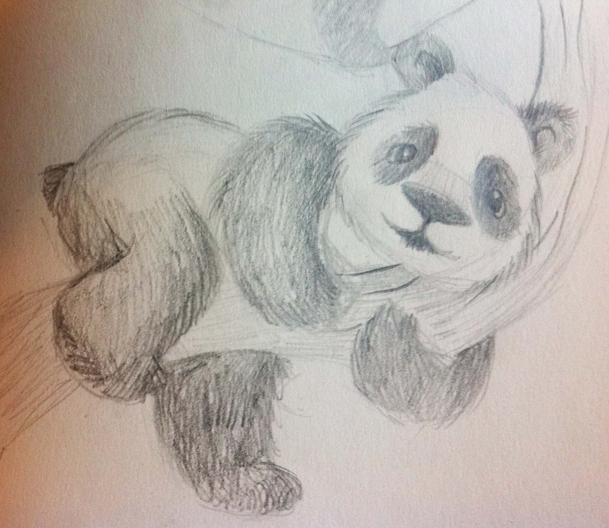 panda bear 3.jpg